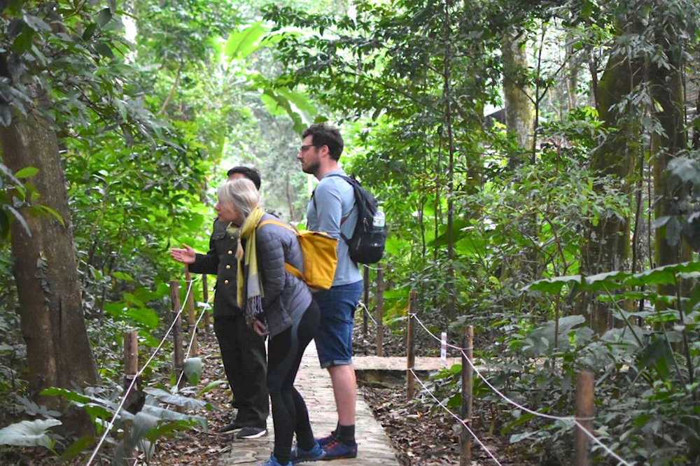 Trekking in Cuc Phuong National Park is a popular activity for tourists 